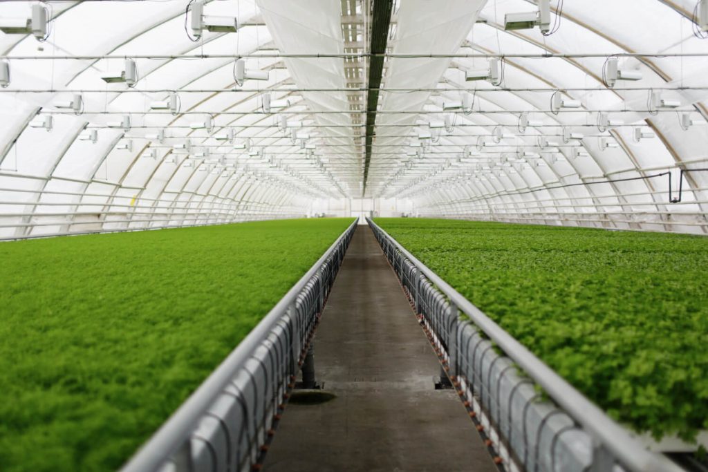 LINHA MODERNIZAÇÃO DA AGRICULTURA
